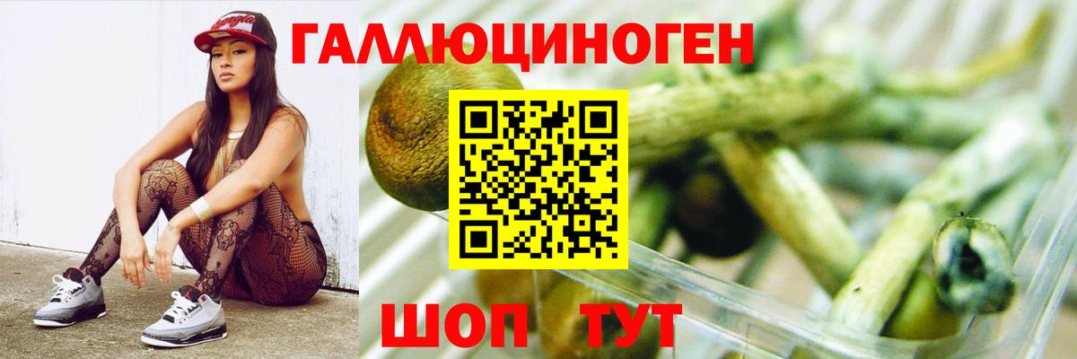 Псилоцибиновые грибы ЛСД Советск